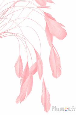 Coquetip - 20-25 cm - zalm-roze